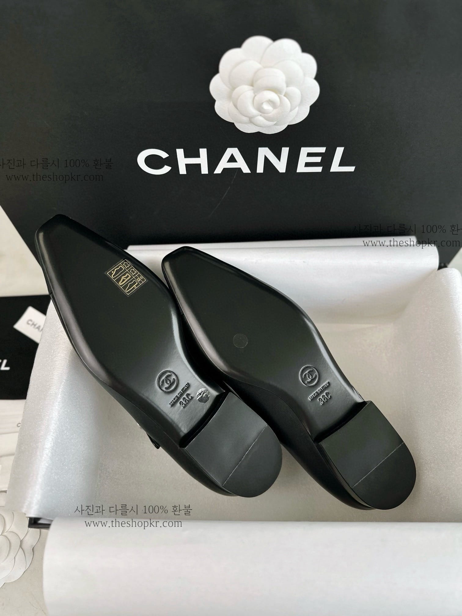 24a295396aed2c403992a588b524be4a_1741596723_3615.jpg