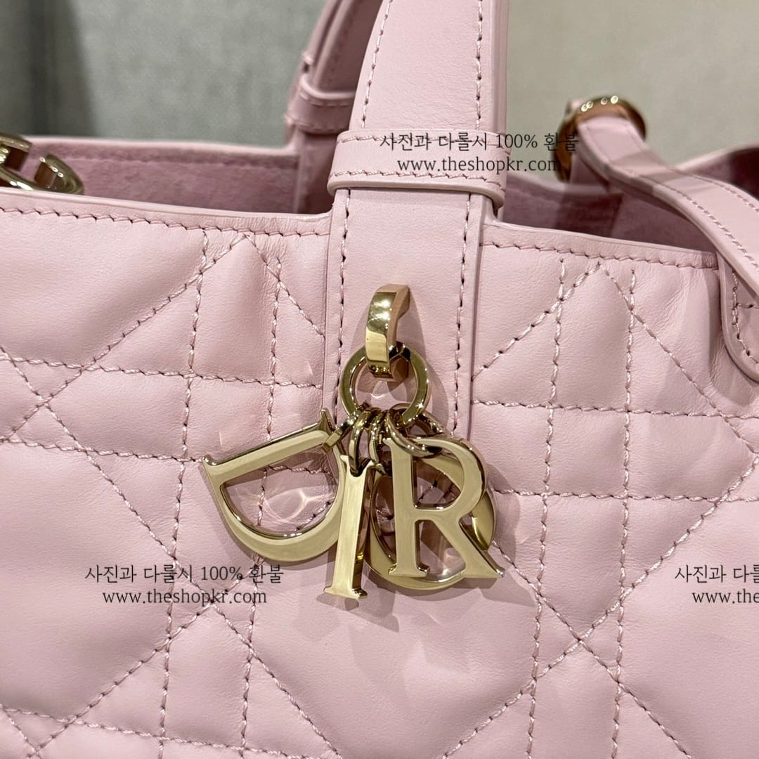 (여왕) 디올 뚜주흐 스몰 백