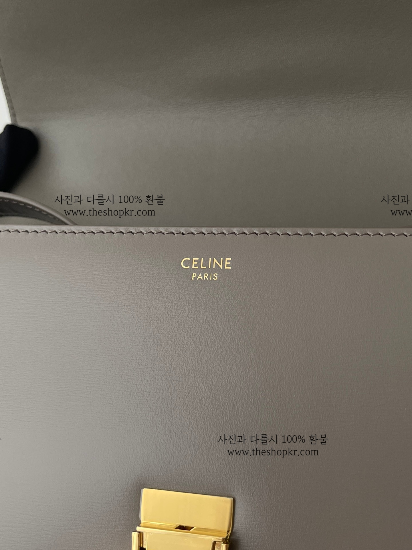 고윤정 셀린느 클래식 트리옹프 백