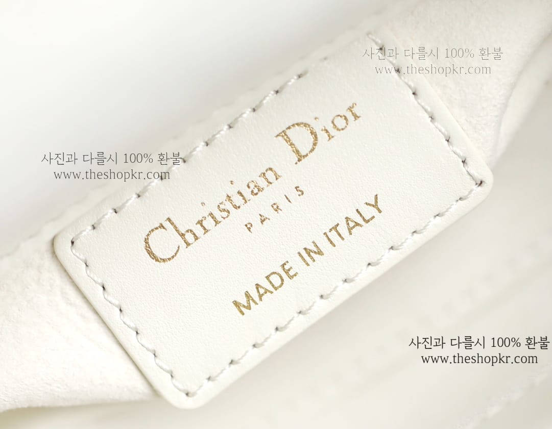 (닥터) 디올 디조이 마이크로 백
