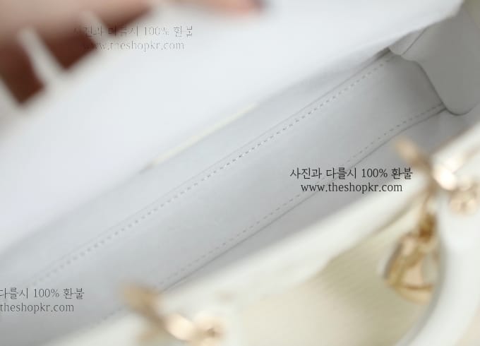 (닥터) 디올 디조이 스몰 백