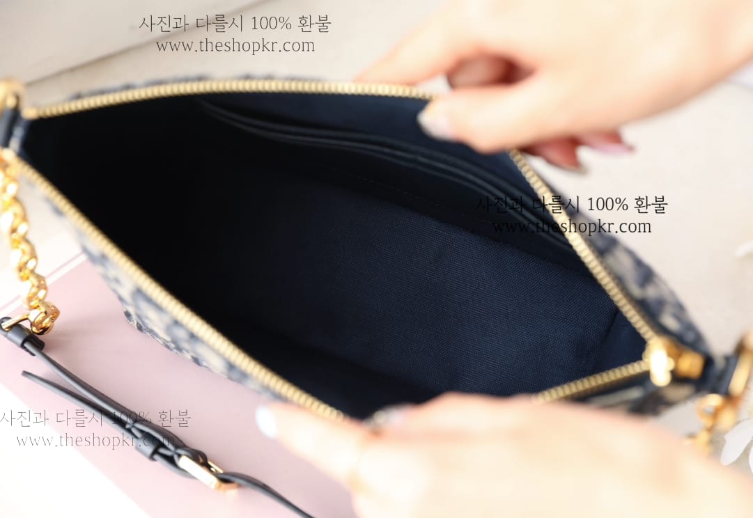 (닥터) 디올 스타 호보 백