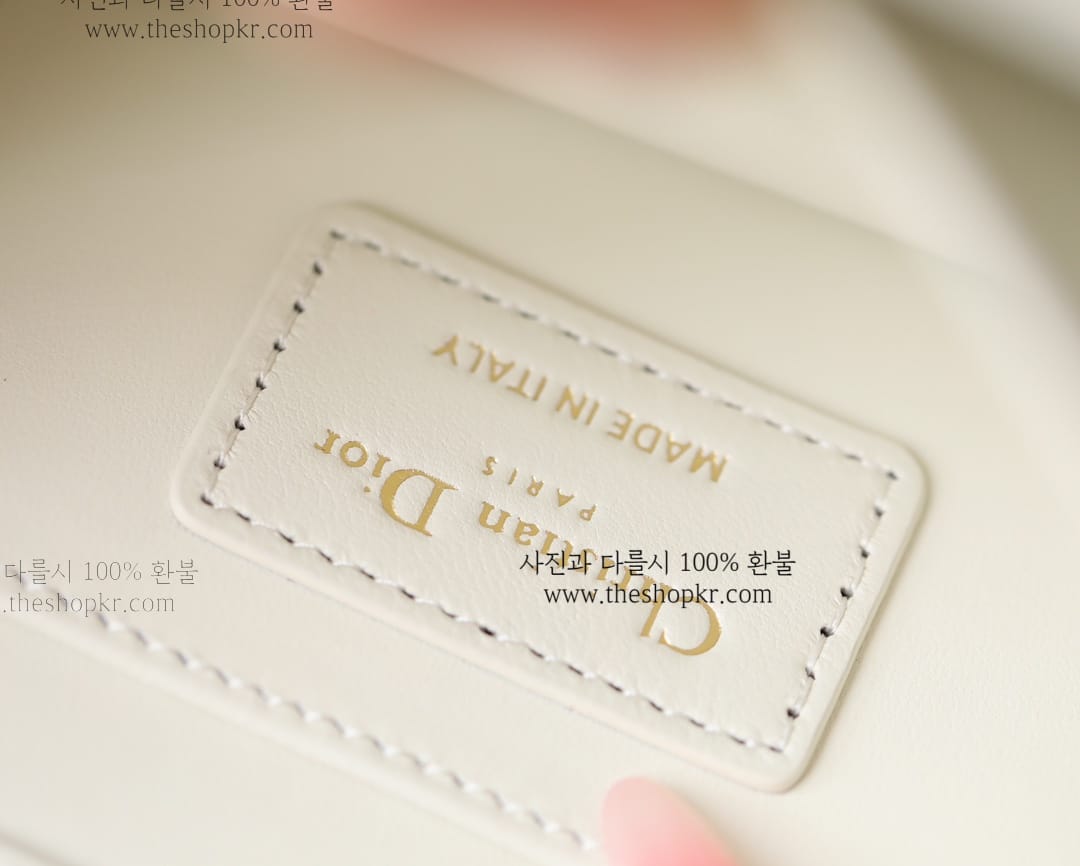 (닥터) 디올 앙쥬 백