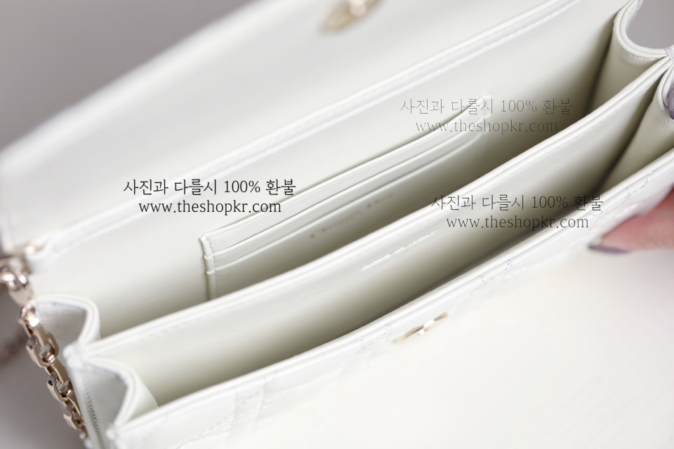 (닥터) 디올 마이디올 미니 백