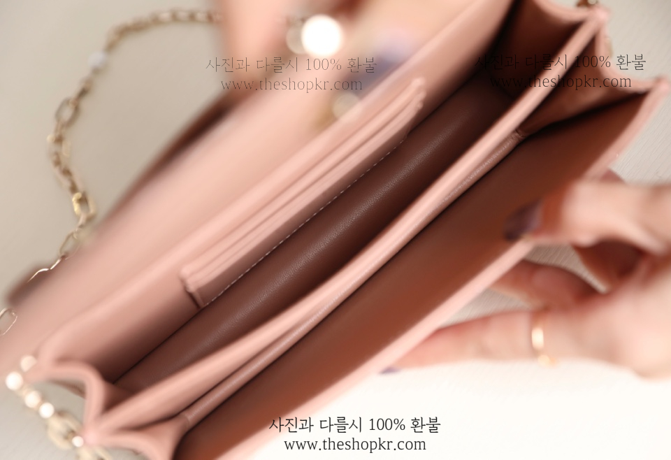 (닥터) 디올 마이디올 미니 백