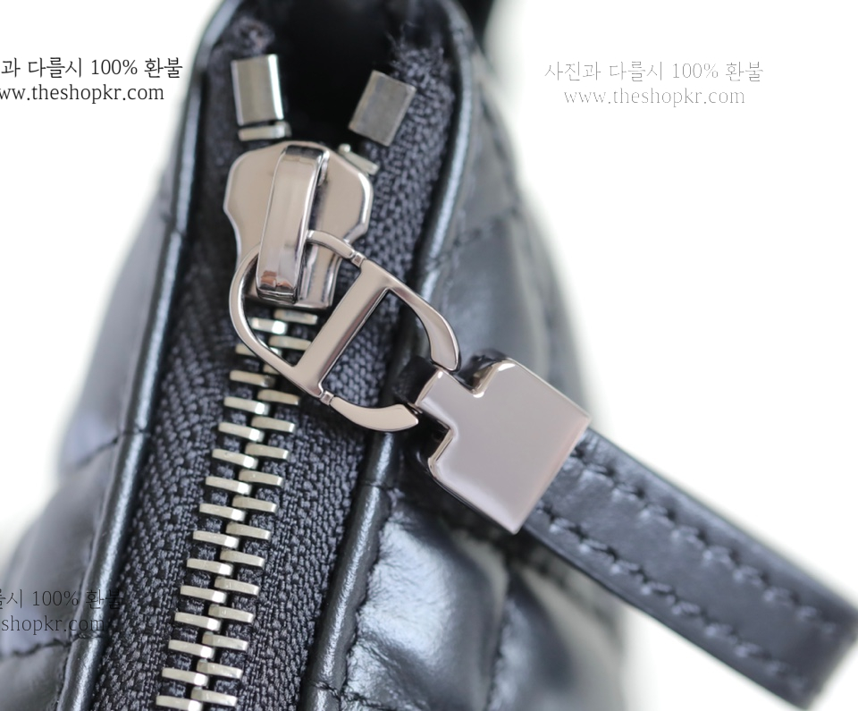 (닥터) 디올 카로 튤립 백