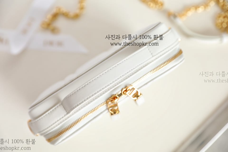 (닥터) 디올 카로 박스 백