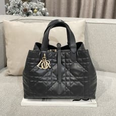 (여왕) 디올 뚜주흐 미듐 백