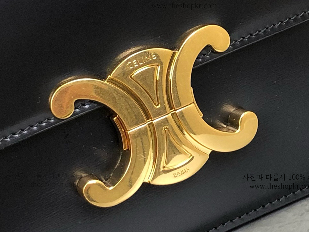 (흰고래) 셀린느 틴 트리옹프 백