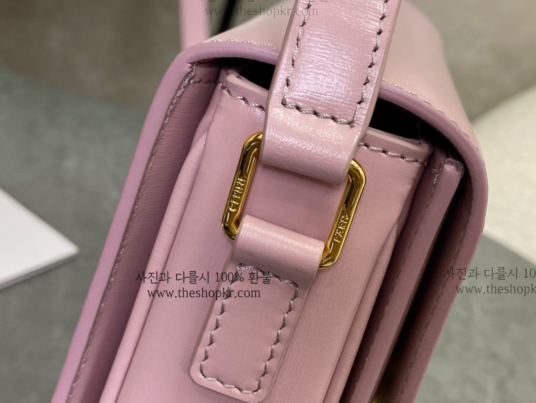 (흰고래) 셀린느 틴 트리옹프 백
