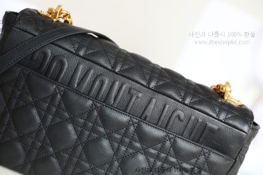 이다희 디올 라지 카로 숄더 백