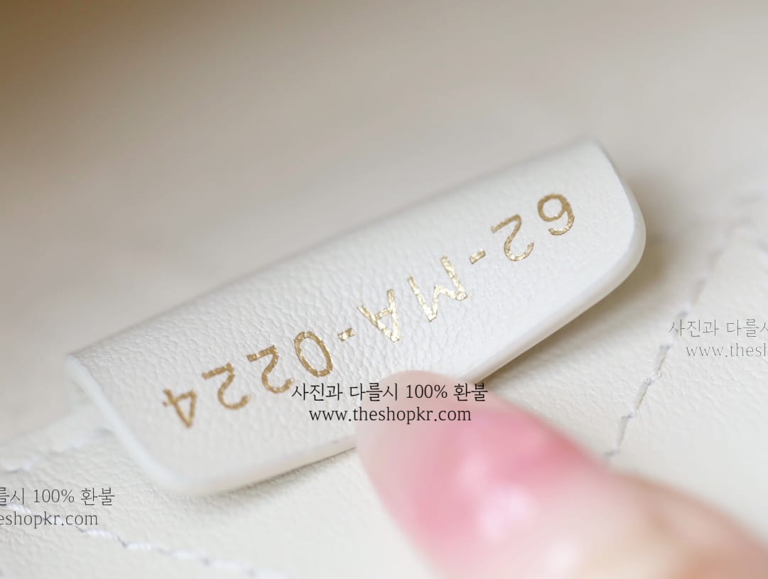 (닥터) 디올 미니 가죽 북토트 백