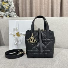(여왕) 디올 뚜주흐 스몰 버티컬 토트 백
