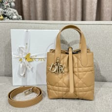 (여왕) 디올 뚜주흐 스몰 버티컬 토트 백